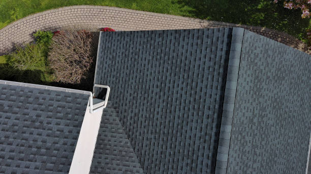 Best Roof Moss and Algae Removal  in Bay Hill, FL